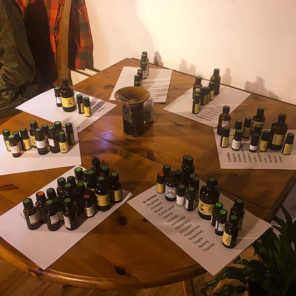 Essential oils in their respective families