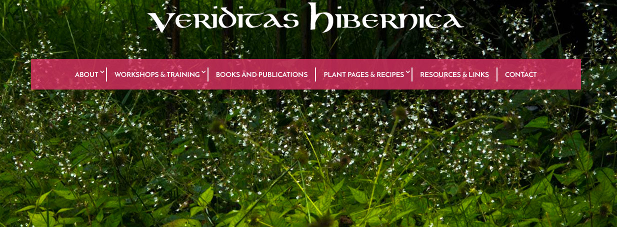 Veriditas Hibernica books and publications