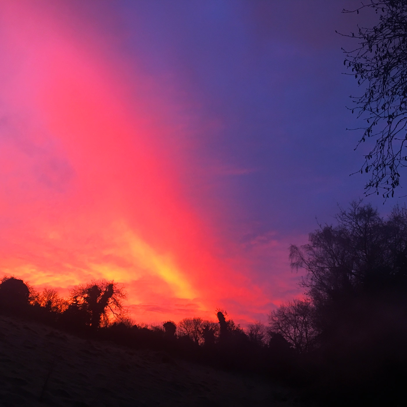 Red sky dawn in Hollyfort, Co Wexford