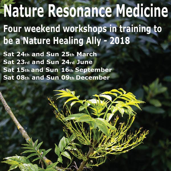 Nature Resonance Medicine Ally Training  2018