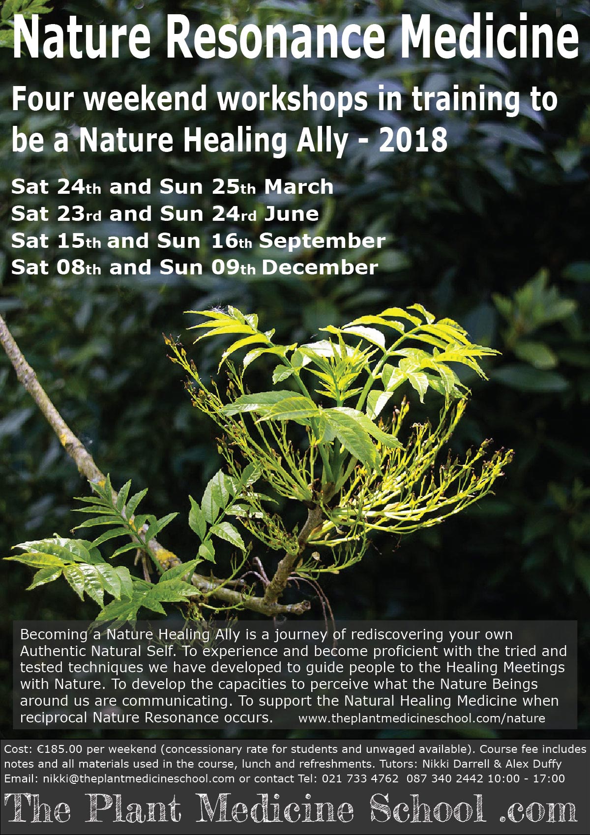 Nature Resonance Medicine Ally Training  2018