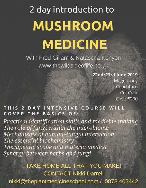 Mushroom Medicine - With Fred Gillam & Natascha Kenyon