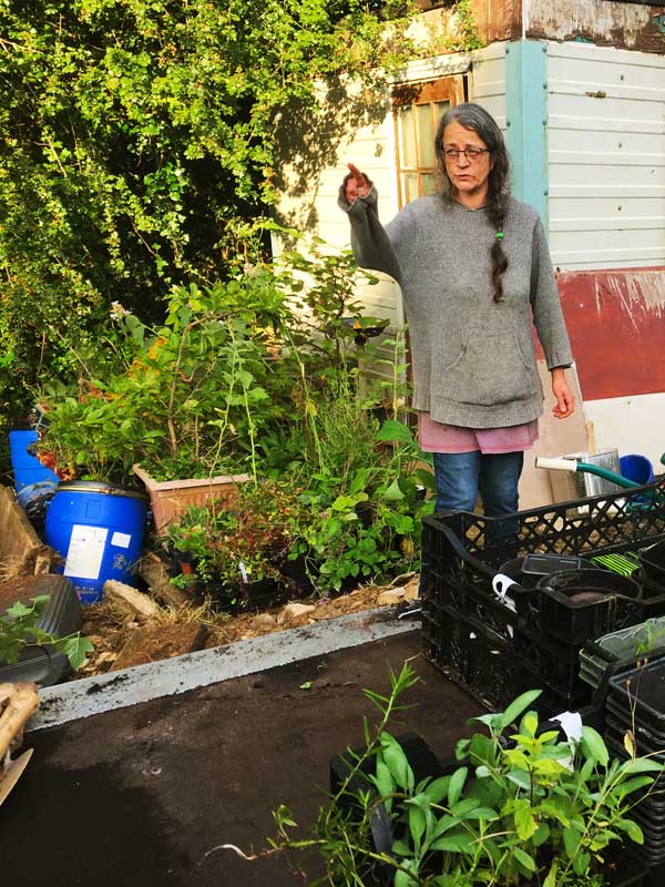 Nikki directing locations for plants in Wexford