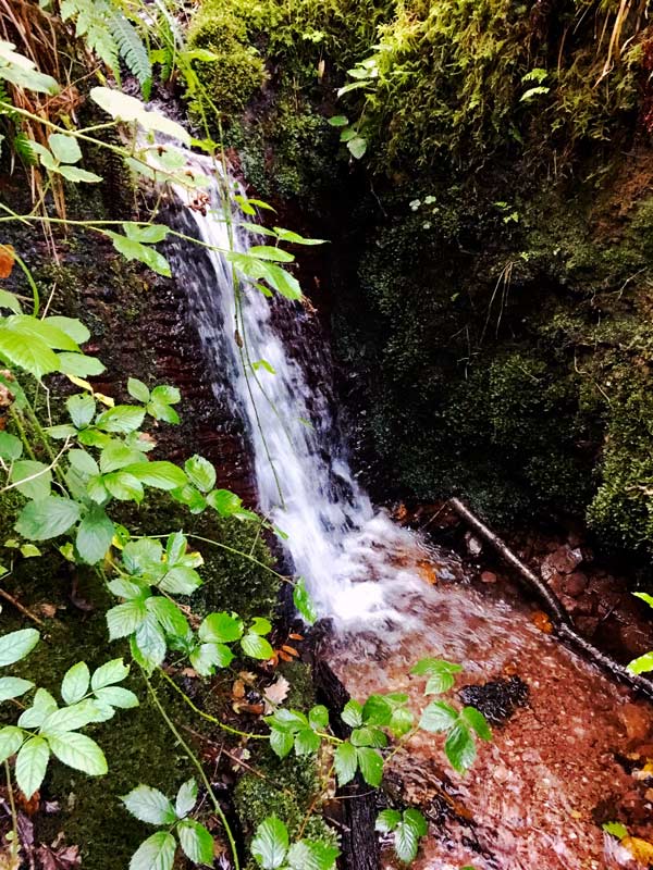 Waterfall over Red Rock in the oak woods